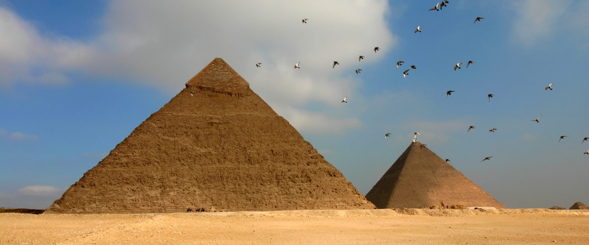 Birder with binoculars